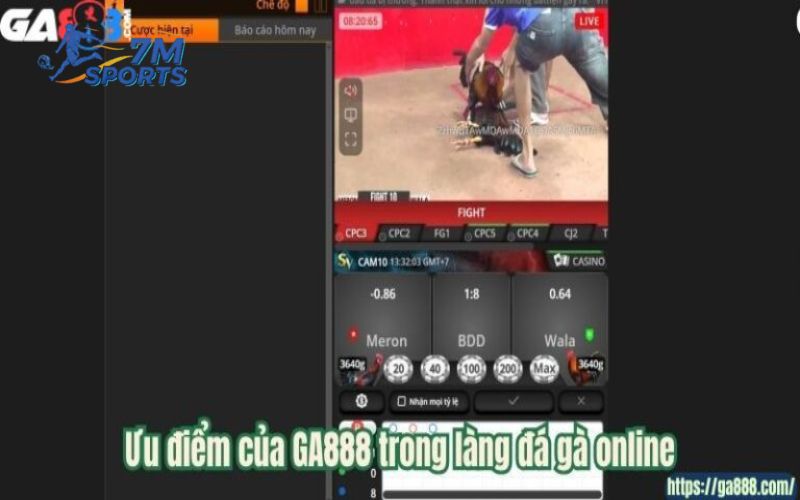 Ưu điểm của GA888 trong làng đá gà online